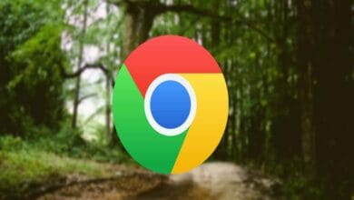 Meilleures façons de faire les recherches dans Google Chrome