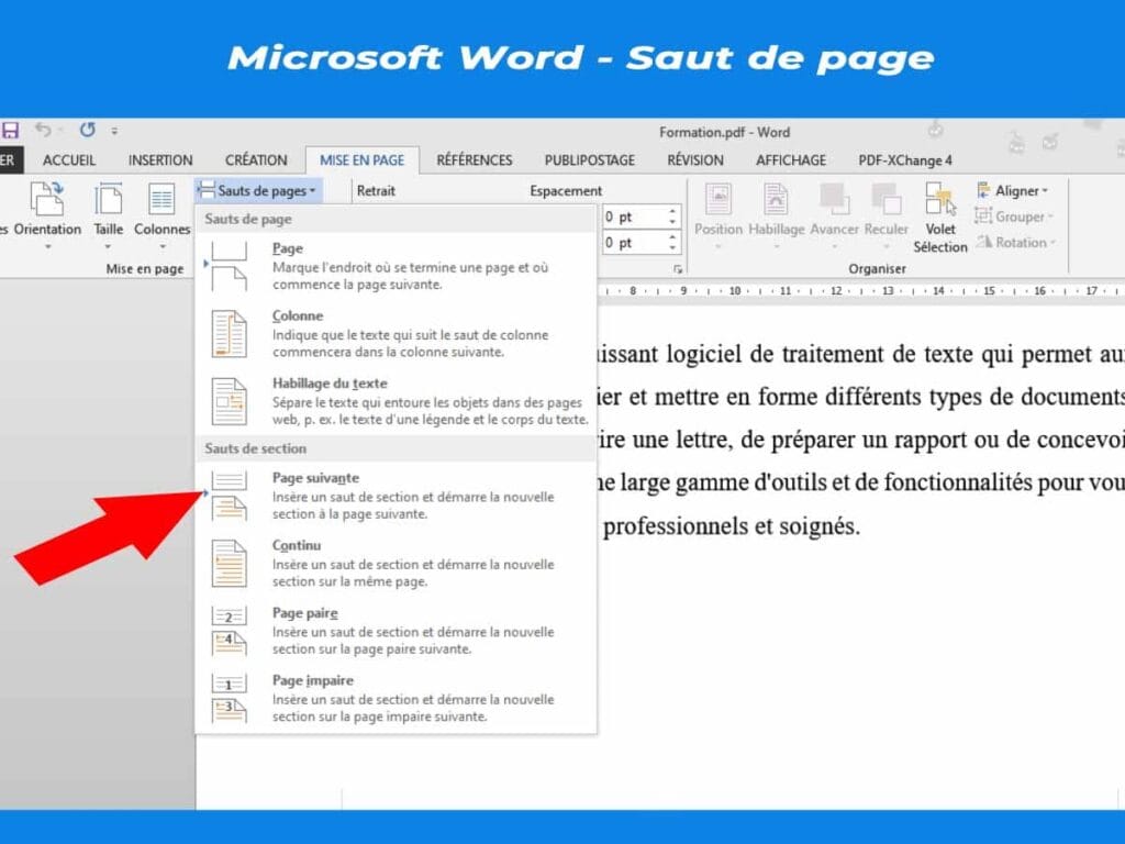 capture d'insèrerions des sauts de section Microsoft Word