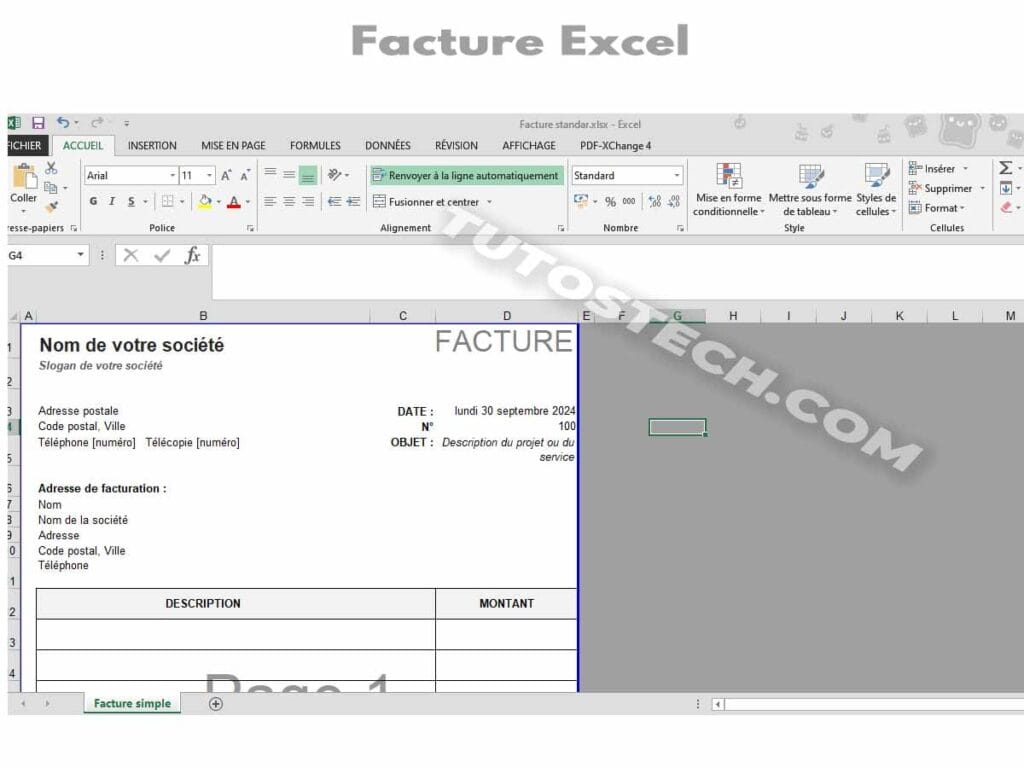 Interface facture professionnelle