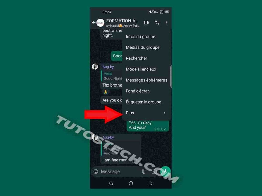 interface Option plus WhatsApp