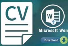 Télécharger modèle de CV gratuits personnalisables