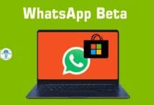 Télécharger WhatsApp Beta pour Windows