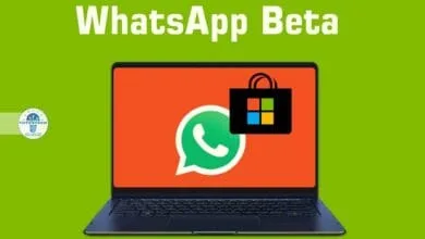 Télécharger WhatsApp Beta pour Windows