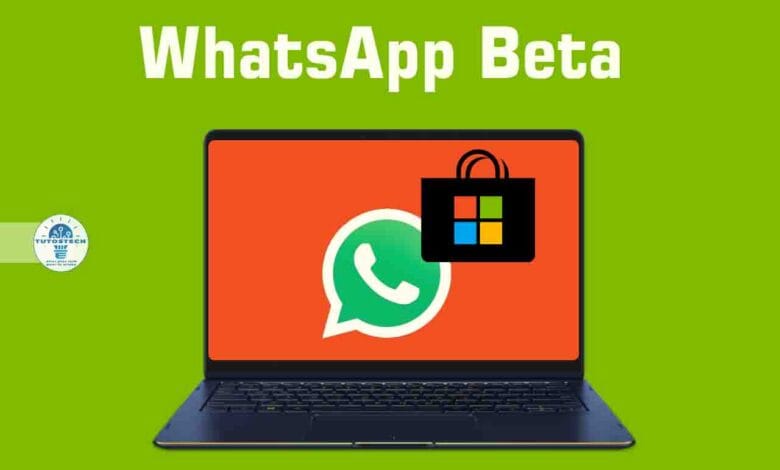 Télécharger WhatsApp Beta pour Windows