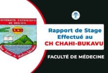 Rapport de stage de pédiatrie master 1 effectué au CH CHAHI