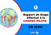 rapport stage effectue COOPEC-PILOTE