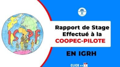 rapport stage effectue COOPEC-PILOTE