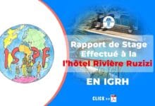 Rapport de stage effectue hôtel pdf