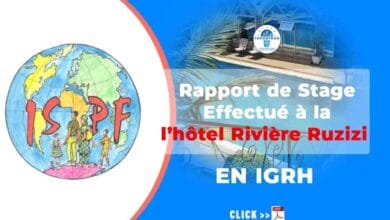 Rapport de stage effectue hôtel pdf