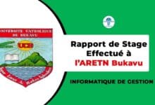 Rapport de Stage ARETN Bukavu 2024 | Télécharger PDF Gratuit