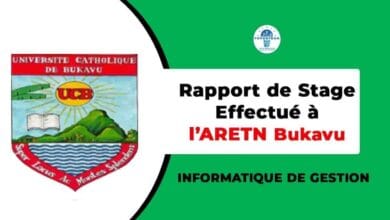 Rapport de Stage ARETN Bukavu 2024 | Télécharger PDF Gratuit