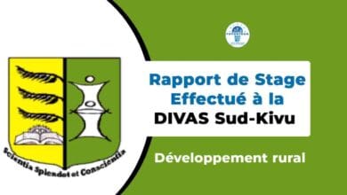 Télécharger Rapport de Stage à la DIVAS Sud-Kivu en PDF