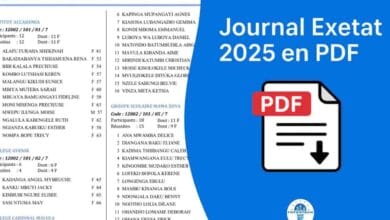 Comment voir le journal Exetat 2025 en PDF ?