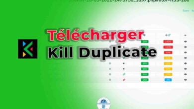 Comment détecter le contenu volé sur votre site web avec Kill Duplicate