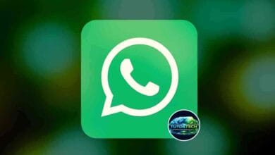 astuces WhatsApp pour rester discret en ligne
