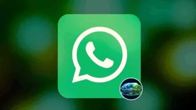 astuces WhatsApp pour rester discret en ligne